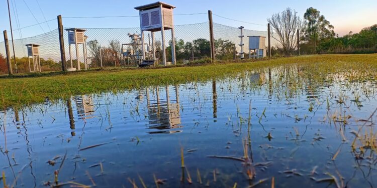 Seis décadas de memoria climáticade la Estación Agrometeorológica de INTA Cerro Azul