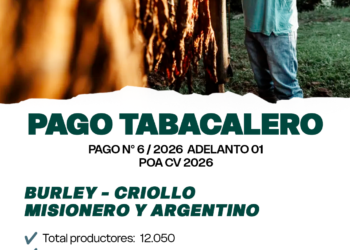 Nuevo pago para productores tabacaleros: más de 8 mil millones