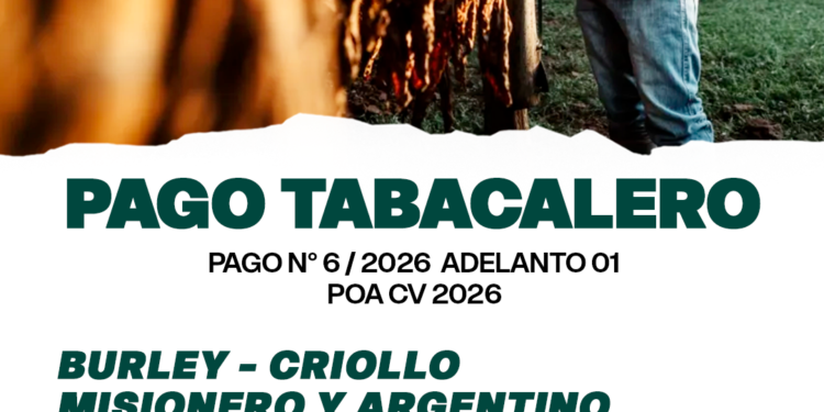 Nuevo pago para productores tabacaleros: más de 8 mil millones