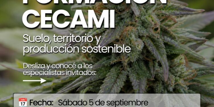 Capacitación y formalización de productores vinculados al cannabis