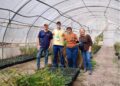 13 trabajos del INTA Misiones en el Congreso Argentino de Horticultura