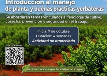 Capacitación sobre manejo de planta y buenas prácticas yerbateras