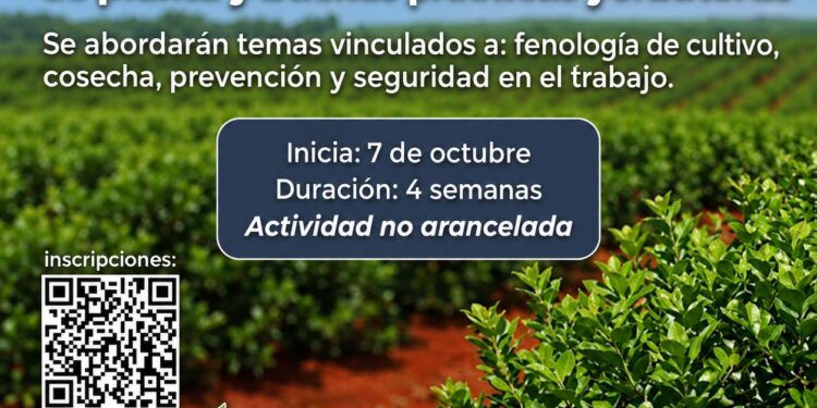 Capacitación sobre manejo de planta y buenas prácticas yerbateras