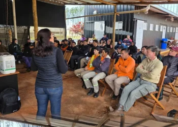 Avanza la profesionalización en el manejo de fitosanitarios con foco en las BPA