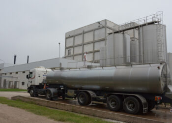 Récord de exportaciones lácteas para los primeros 7 meses del año con 1.835 millones de litros de leche