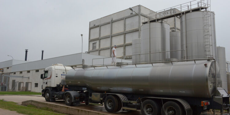 Récord de exportaciones lácteas para los primeros 7 meses del año con 1.835 millones de litros de leche