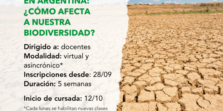 Vida Silvestre Argentina lanza un curso gratuito sobre Cambio Climático para docentes de todo el país