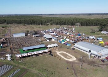La Sociedad Rural del Chaco: vidriera ganadera nacional de la mano de Braford