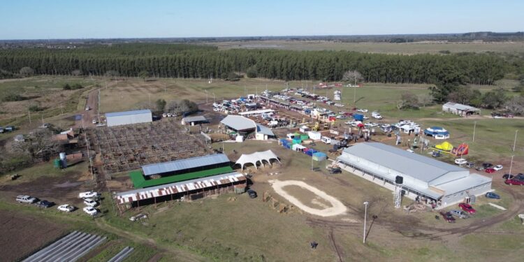 La Sociedad Rural del Chaco: vidriera ganadera nacional de la mano de Braford