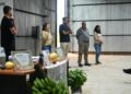 Misiones: impulsan la diversificación frutícola en 15 municipios tabacaleros