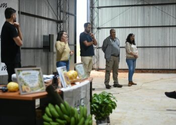 Misiones: impulsan la diversificación frutícola en 15 municipios tabacaleros