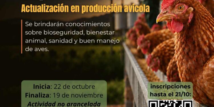 Nuevo curso virtual sobre producción avícola