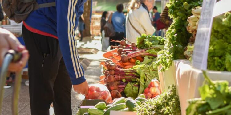 Hoy miércoles en la Plaza San Martin oferta de productos frescos