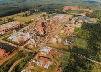 Arauco abre la puerta a la venta de activos y hay expectativa por sus plantas en Misiones