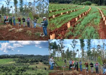 El aporte del INTA en Producción y ambiente