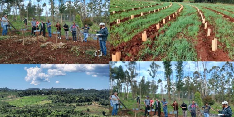 El aporte del INTA en Producción y ambiente